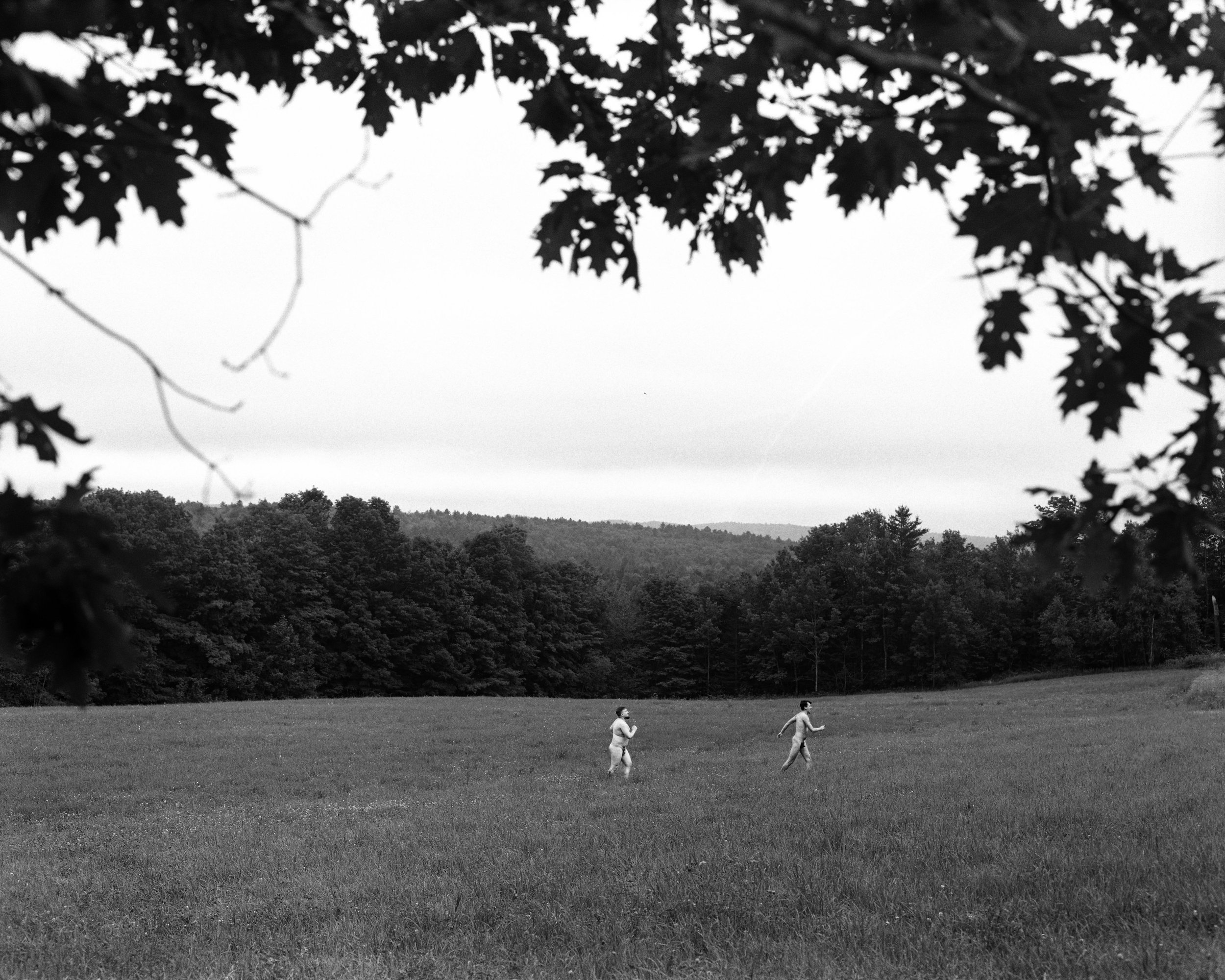 tpl july016 copy.jpg