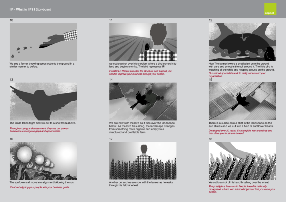 Investors in People storyboard 02
