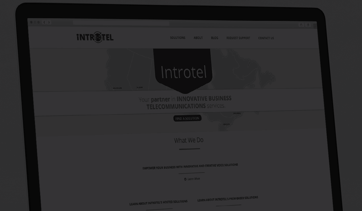 CCD_banners4.png