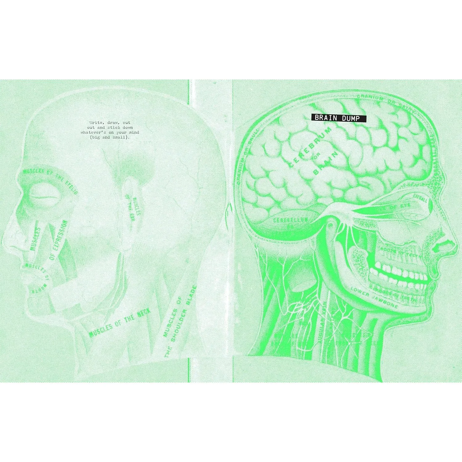 imgi_190_A1wnES15hdL._SL1500_.jpg
