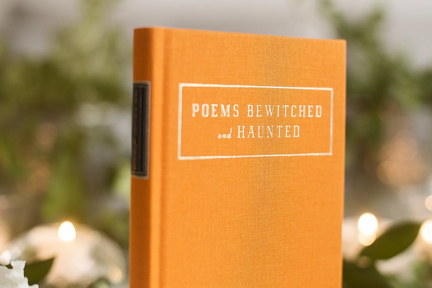 PoemsBewitchedandHaunted02.jpg
