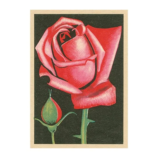 Red Red Rose Card