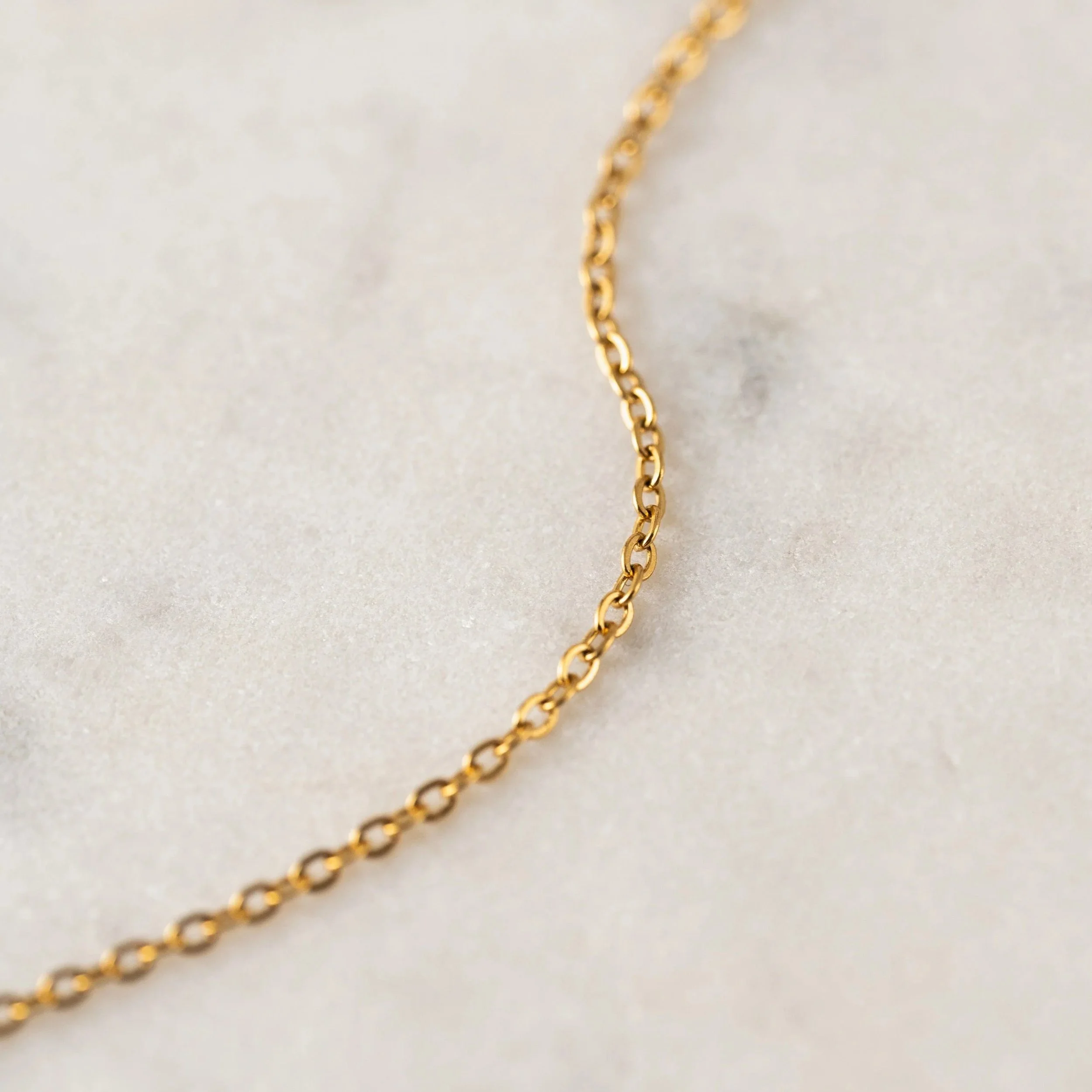 imgi_2_StarlightNecklace-Gold_1x1_DSC2267_50924016-ff6e-4181-813b-fd6233306afd.jpg