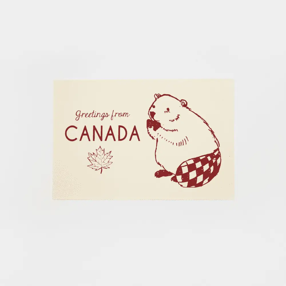 Greetings From Canada Beaver Postcard