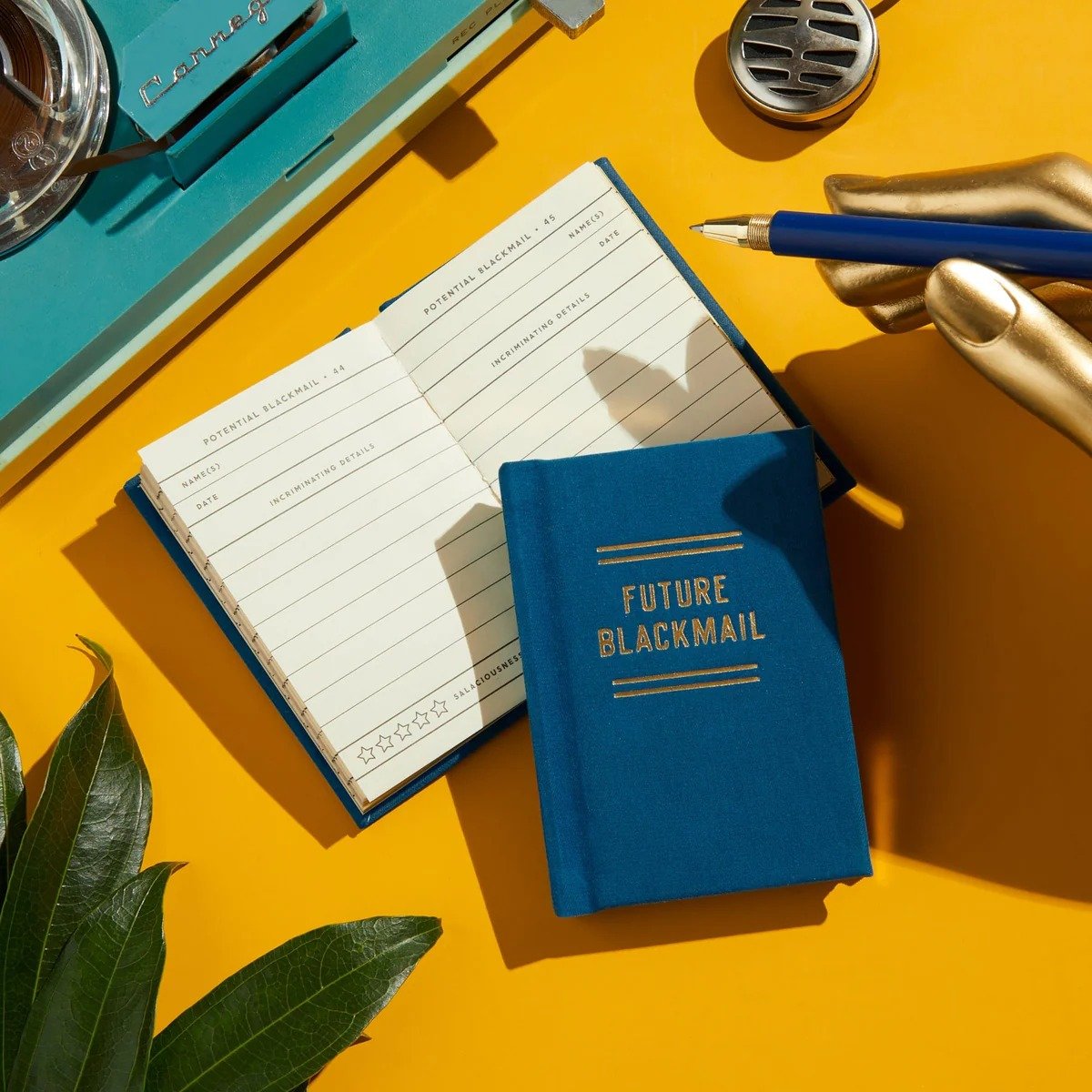 imgi_3_future-blackmail-tiny-diary-brass-monkey-9780735386945-7061310.jpg