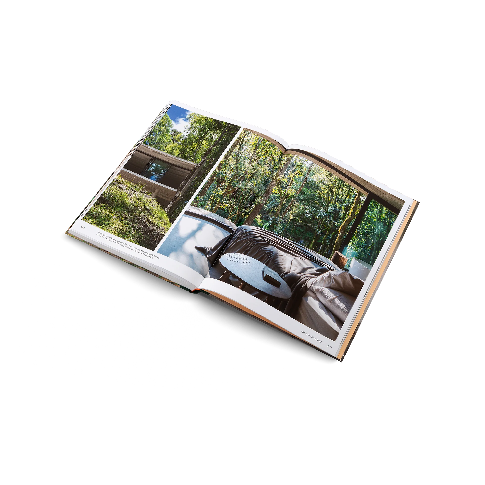 imgi_8_ConcreteJungle_inside06.png