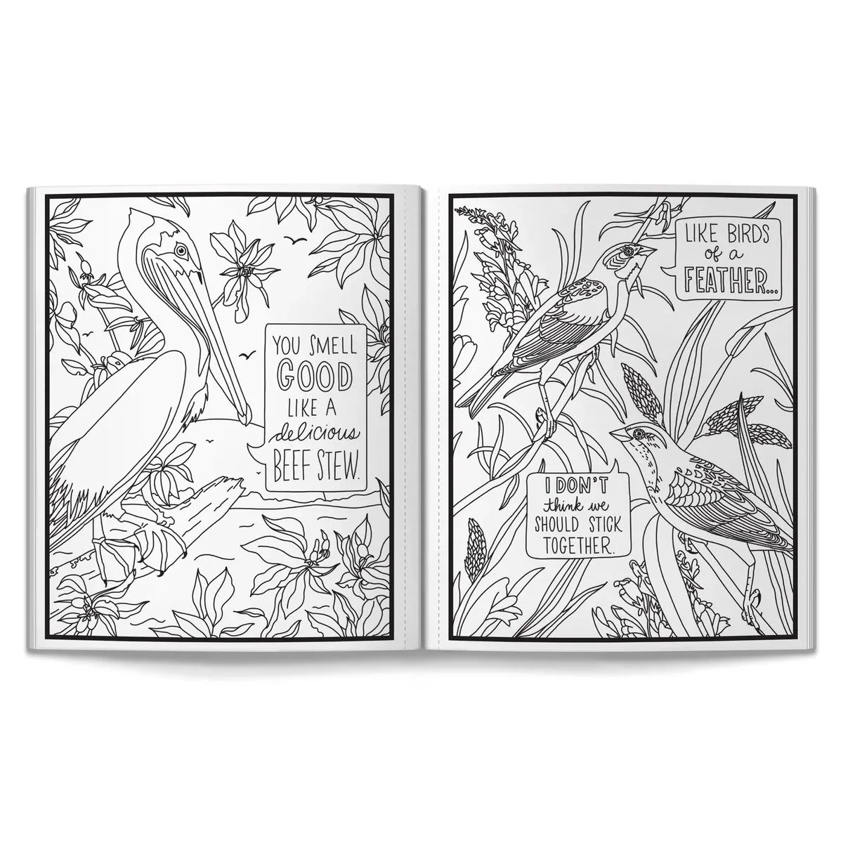 imgi_5_salty-birds-coloring-book-brass-monkey-9780735388321-9224814.jpg