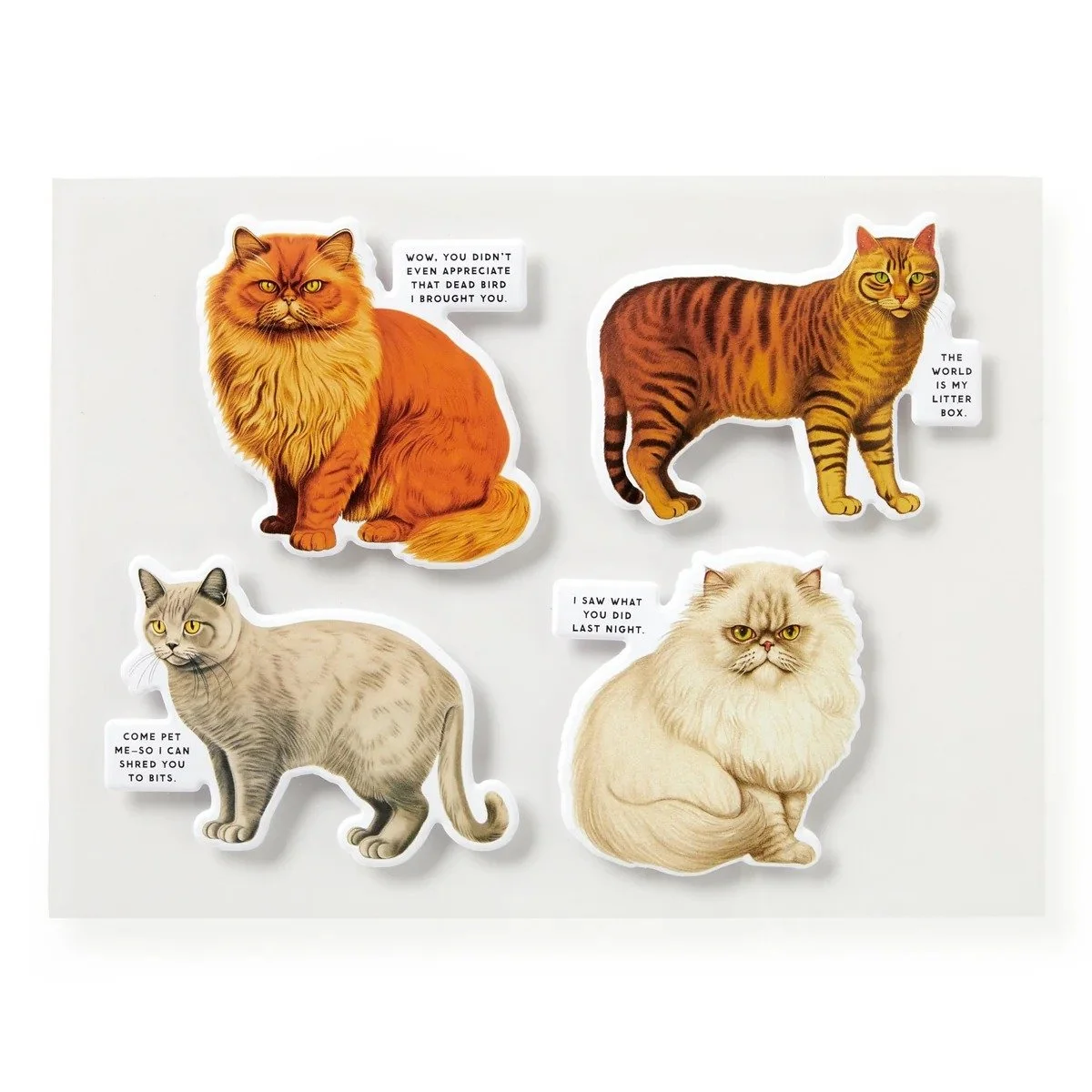 imgi_7_moody-cats-1000-piece-puzzle-brass-monkey-9780735387010-2975081.jpg