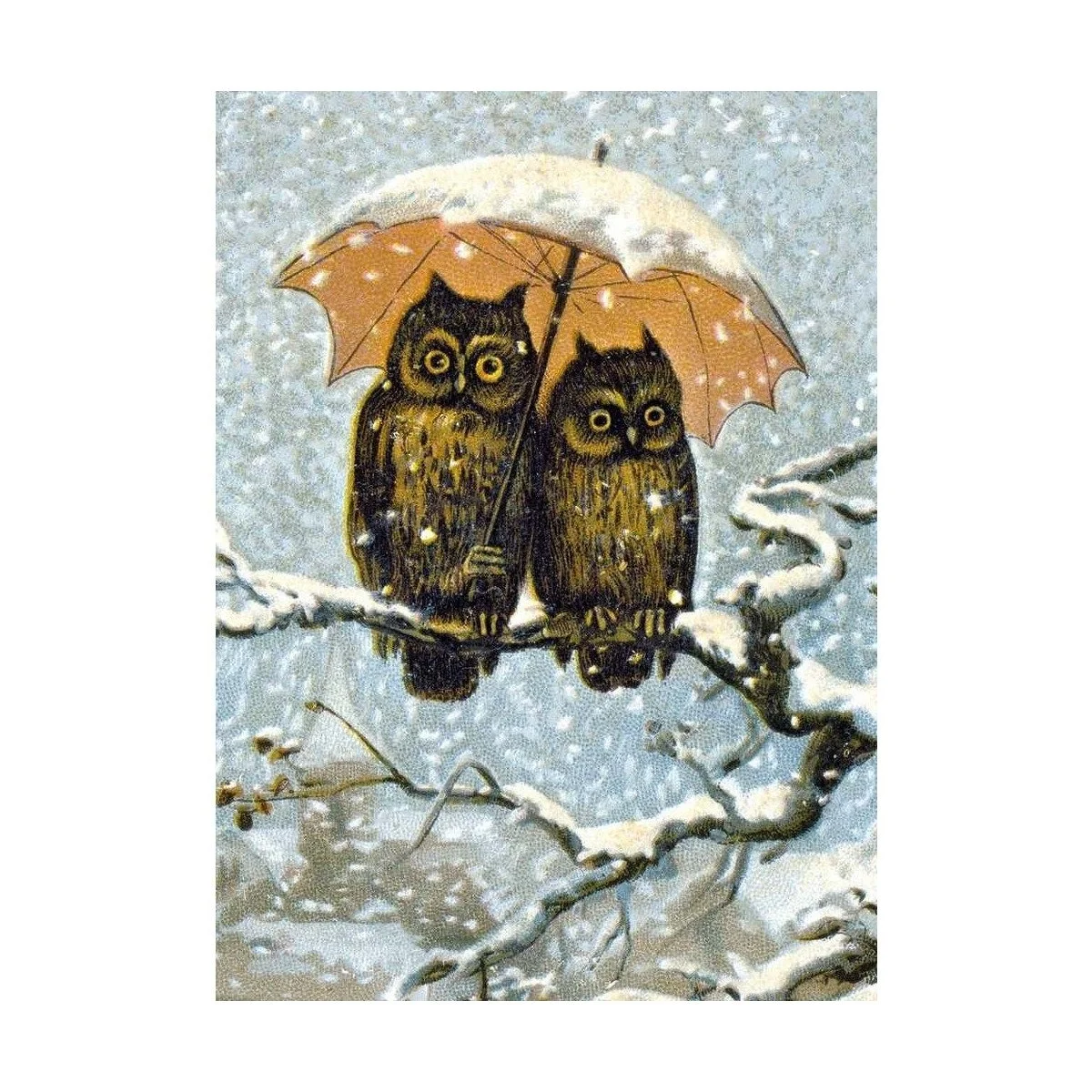 May Your New Year Be Happy Owl Boxed Cards