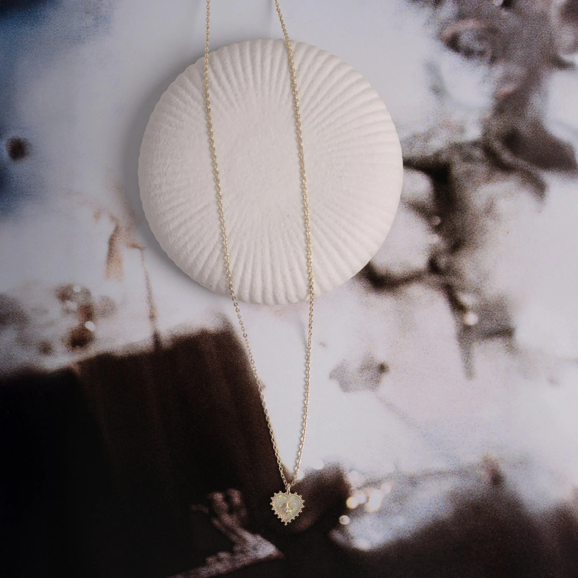 imgi_6_n-1633-02.jpg
