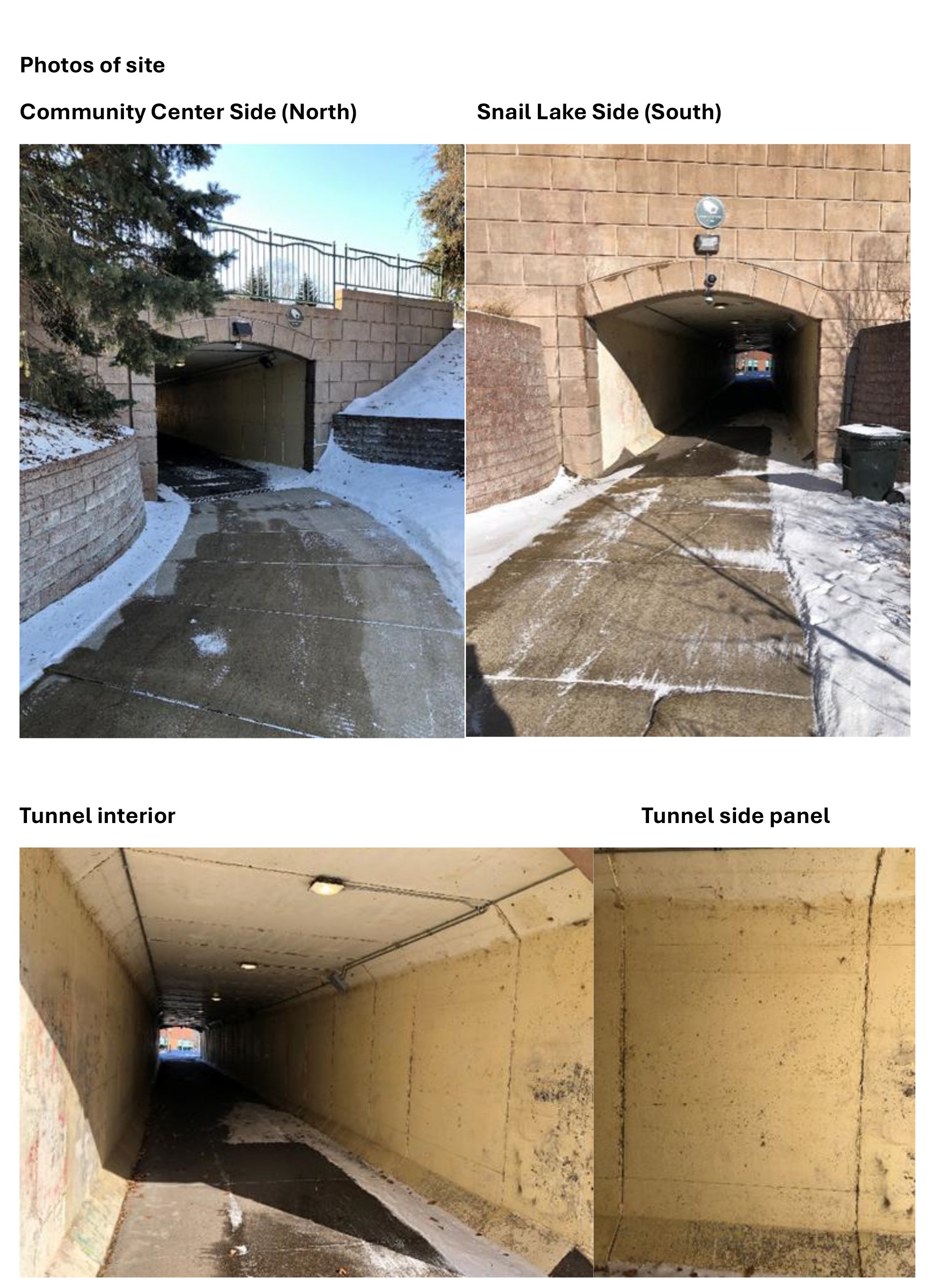 Shoreview Mural CallforArtists-5.jpg