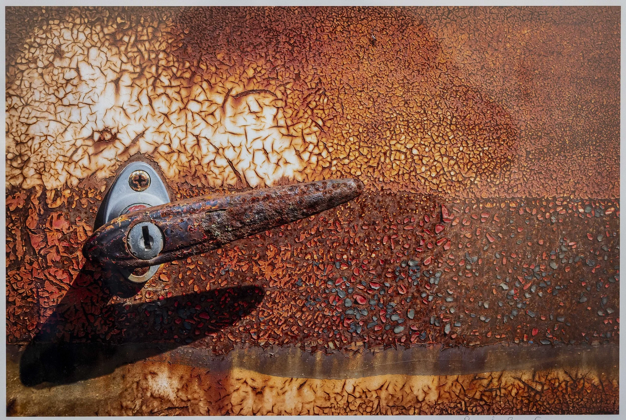 May_26_2026_DSC_5027Texture.jpg