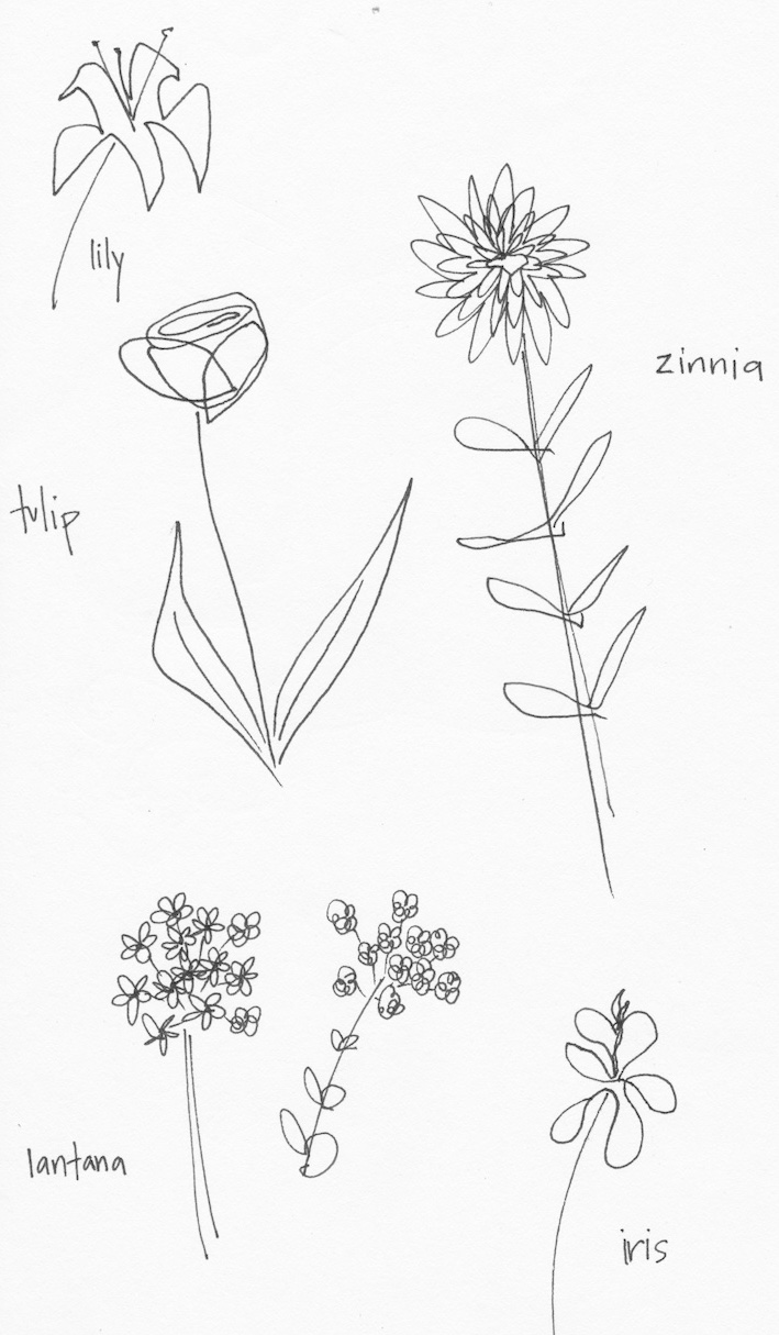 Flower sketches pen.jpg