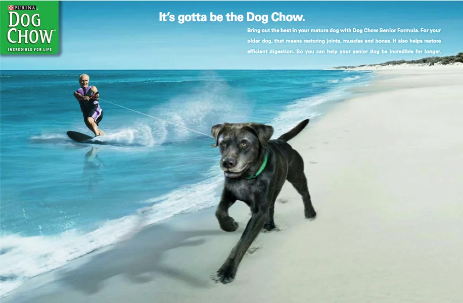 dog chow_1.jpg