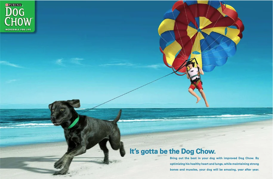 dog chow_2.jpg