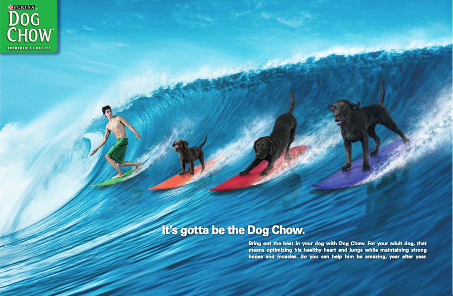 dog chow_3.jpg