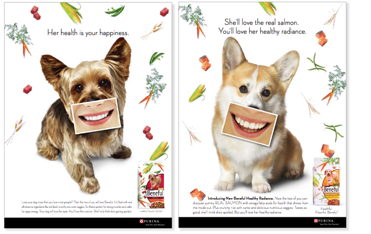 2 dogs.jpg