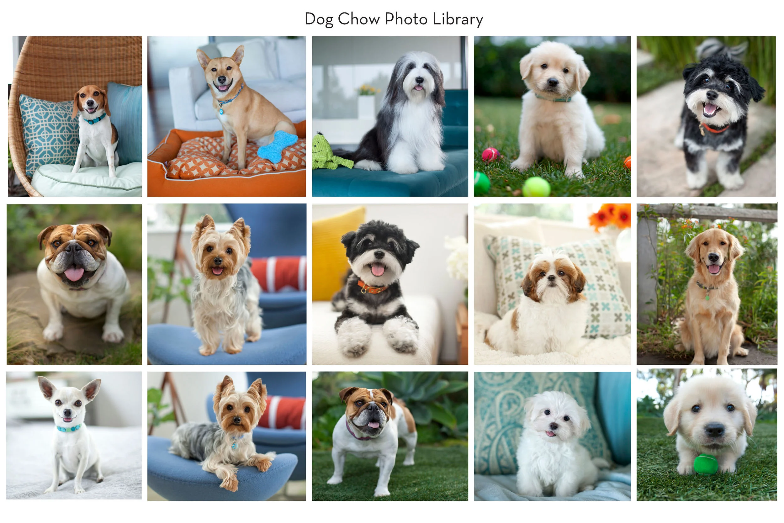 Dog Chow Lib2.jpg