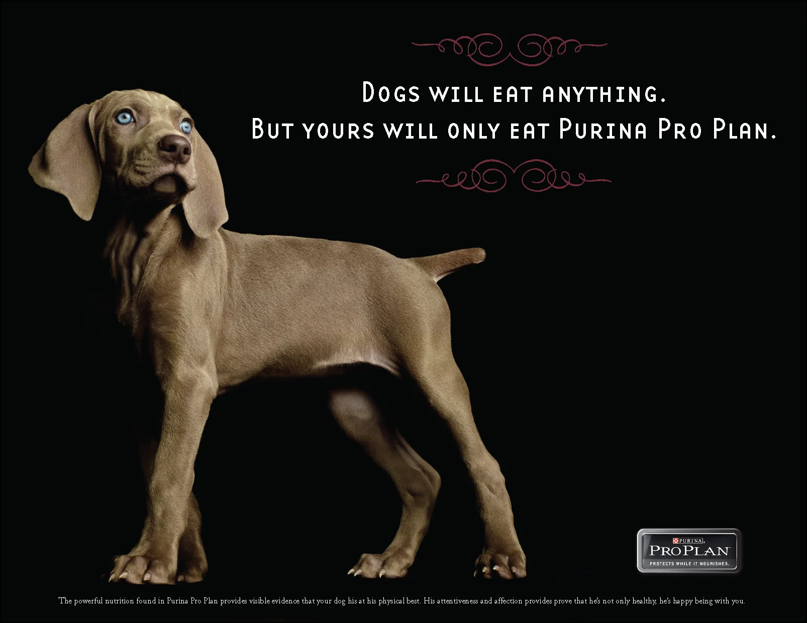 FOR BOOK proplan_Page_1.jpg