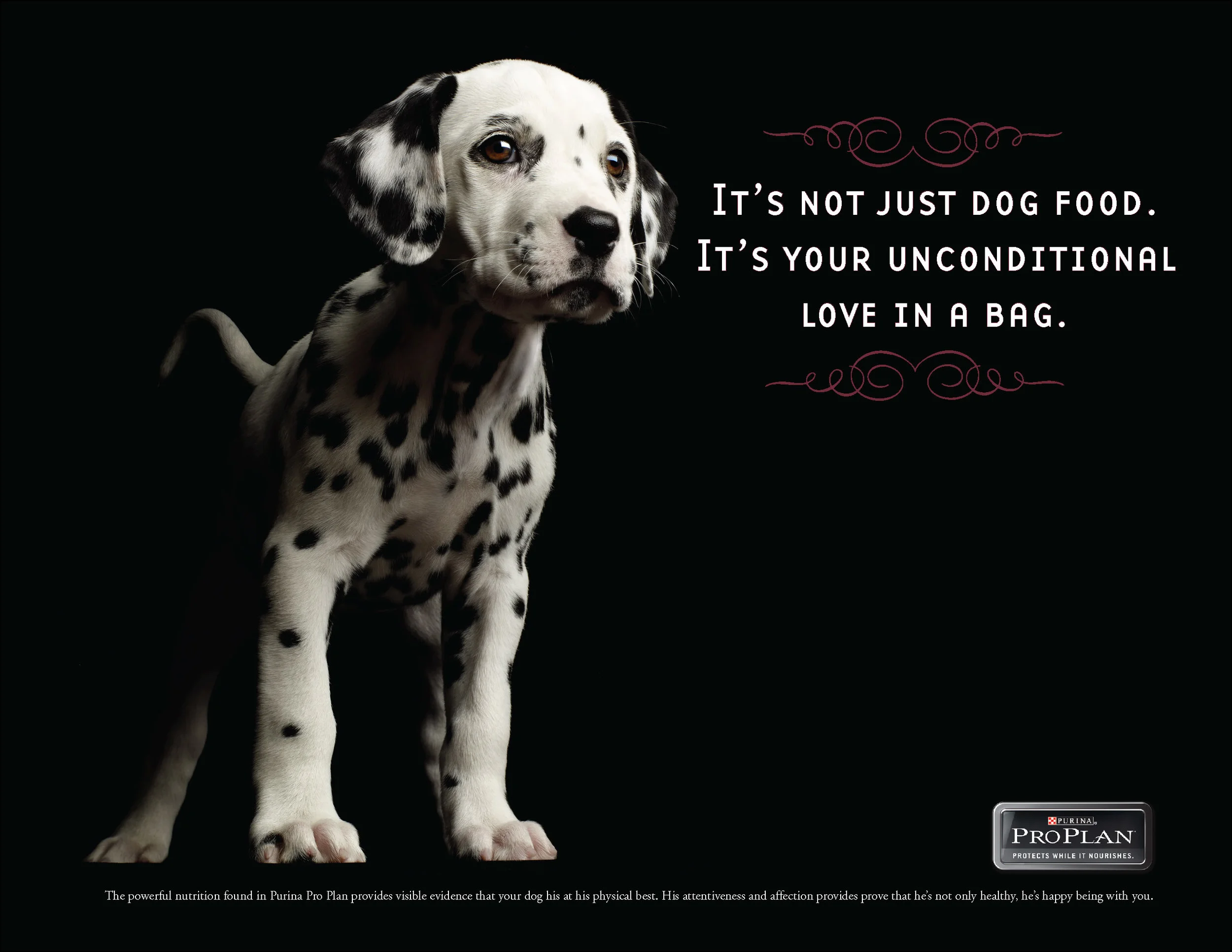 FOR BOOK proplan_Page_2.jpg