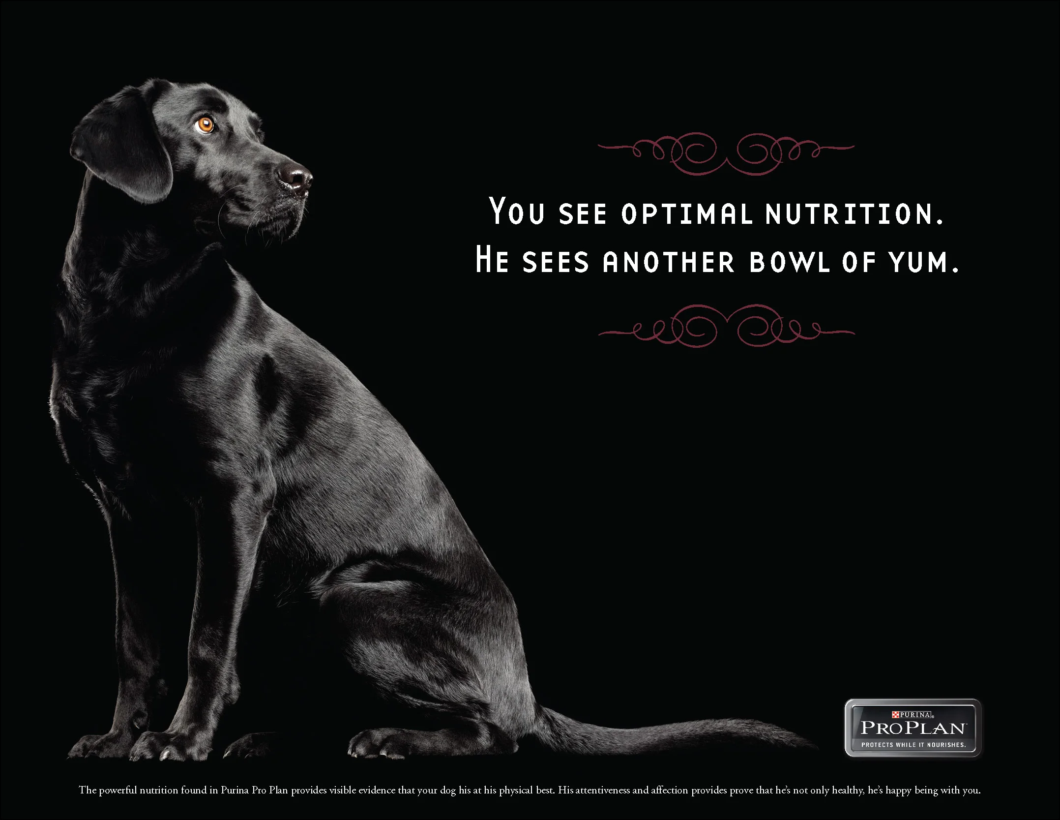 FOR BOOK proplan_Page_3.jpg