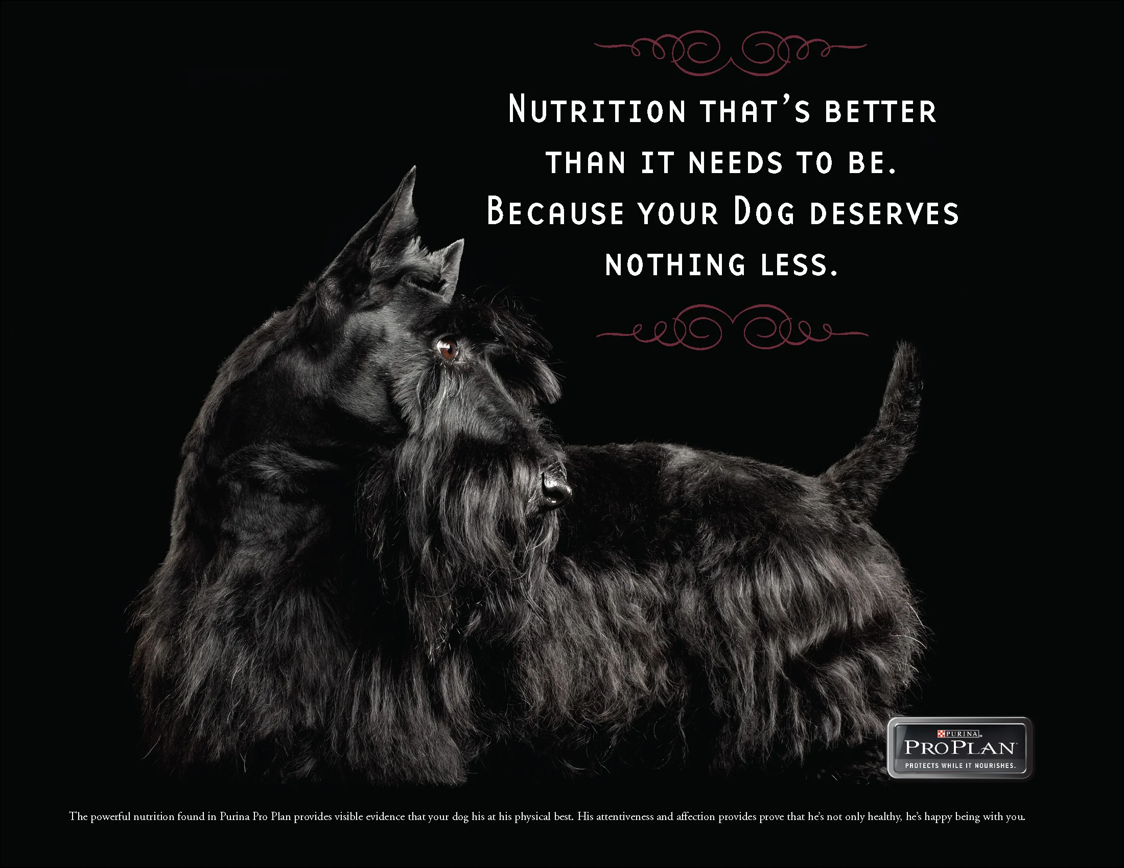 FOR BOOK proplan_Page_4.jpg