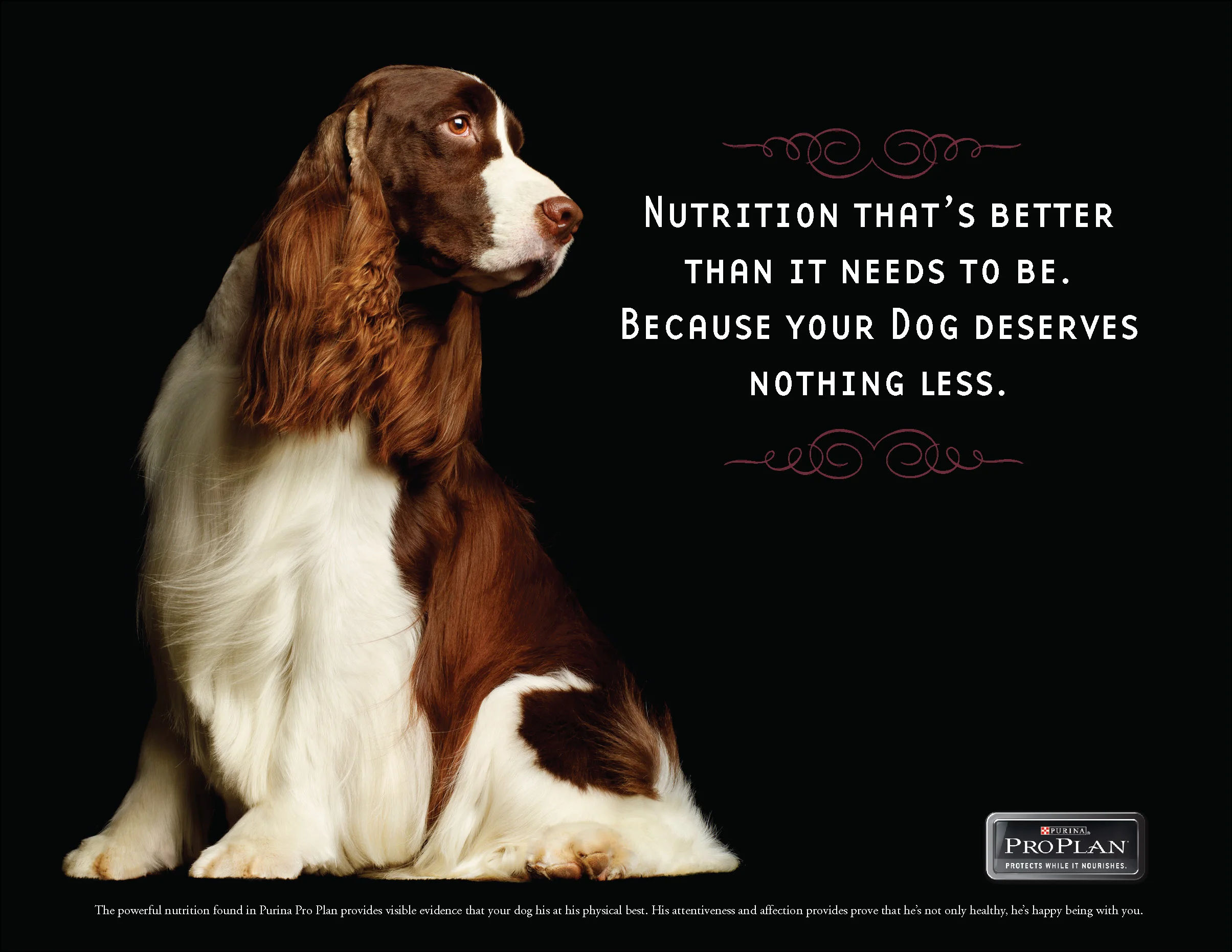 FOR BOOK proplan_Page_5.jpg