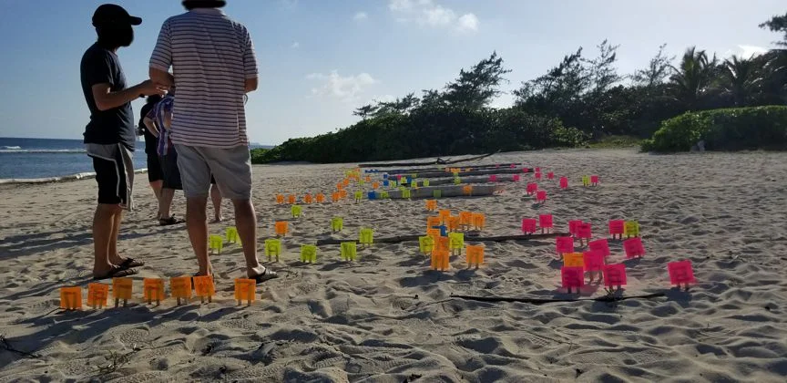 Photo 004 - Flags on beach.jpg