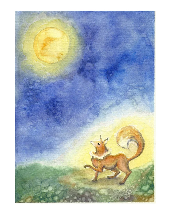 1little_fox_illustration.jpg