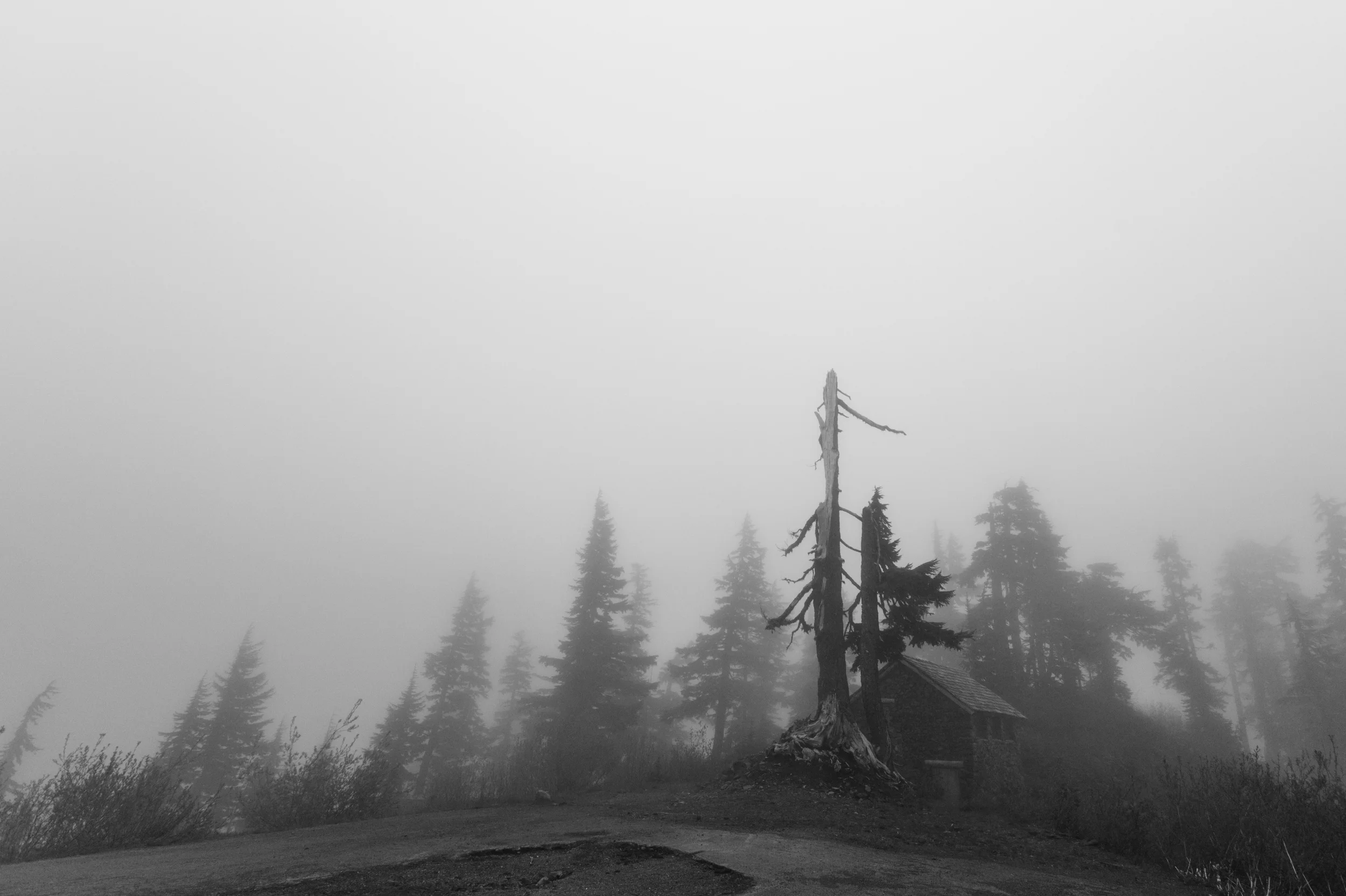 _MG_8290.jpg