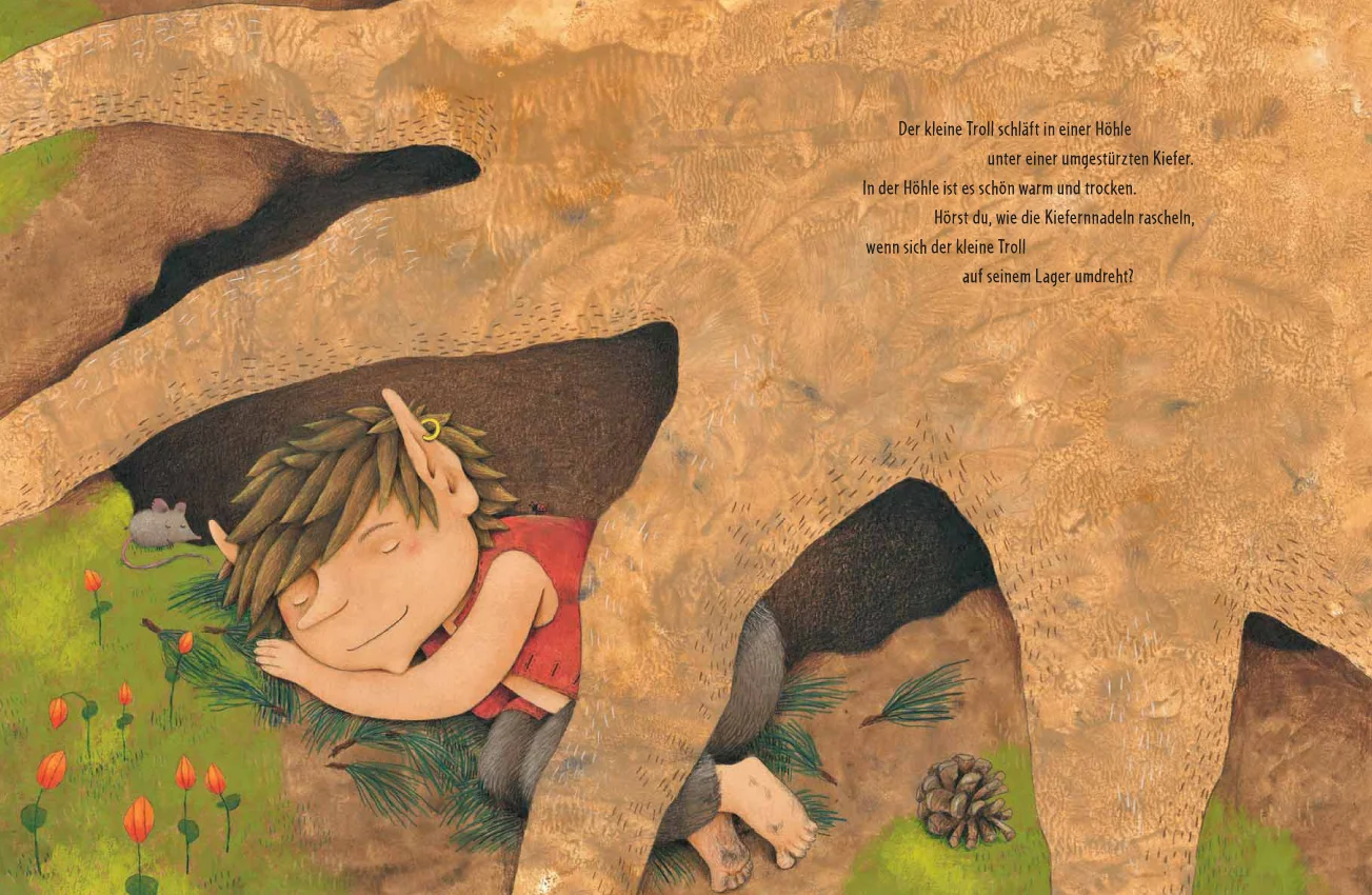 Hast du den troll gesehen? / children's book / fischer 2013
