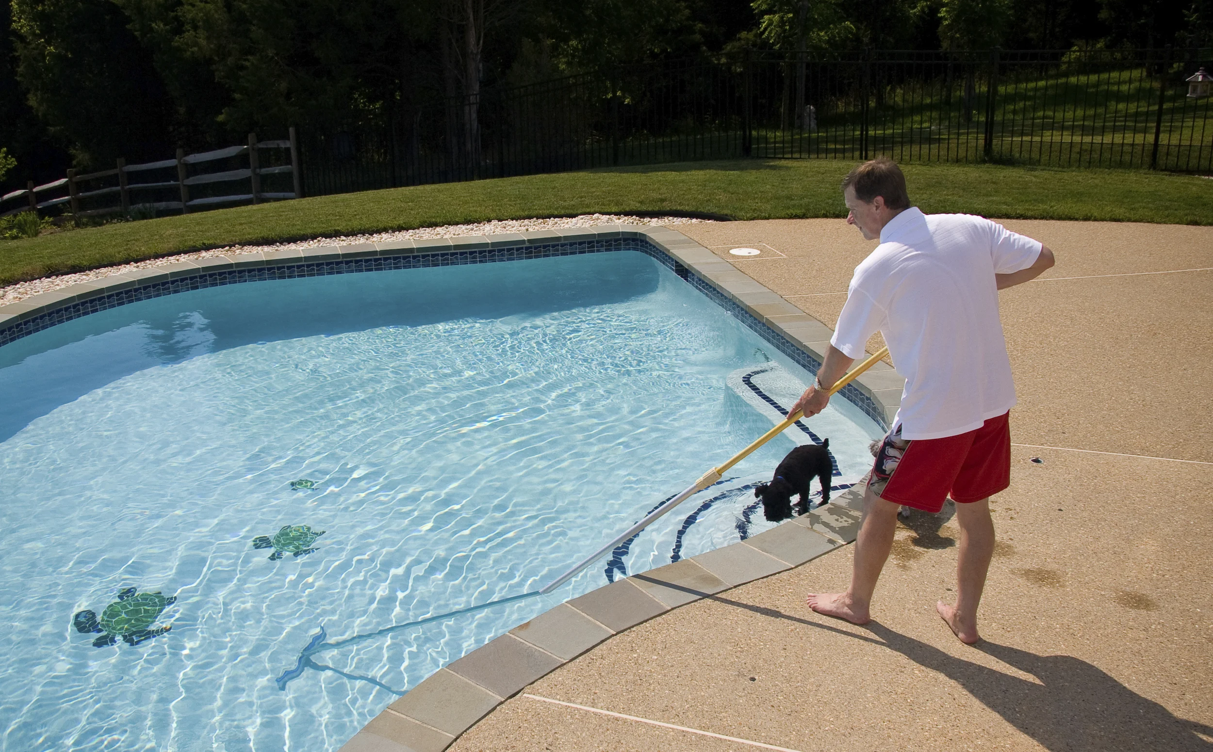 10 Pool Maintenance Tips