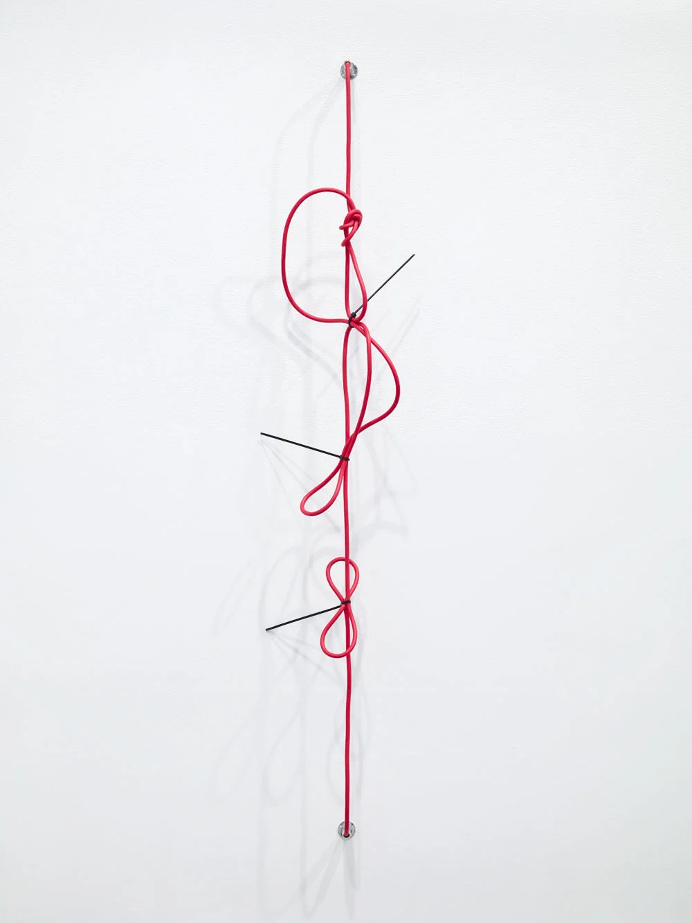 SHHH, The Red Series #2, Noise cancelling instrument cable, cable ties and endpin jacks 44 x 9 x 4.75 inches 2014