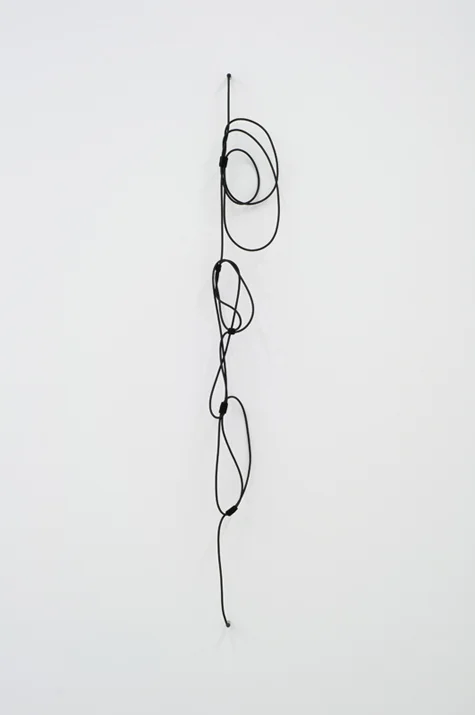 Electric Clef with Accent #1--Noise canceling instrument cable, brass wire, felt and acrylic.- 62 x 10 inches, 2012