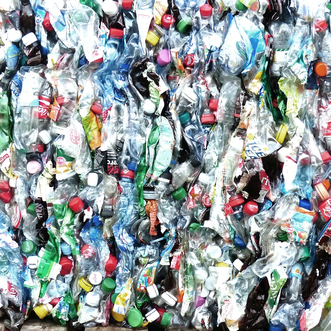 bottles.jpg