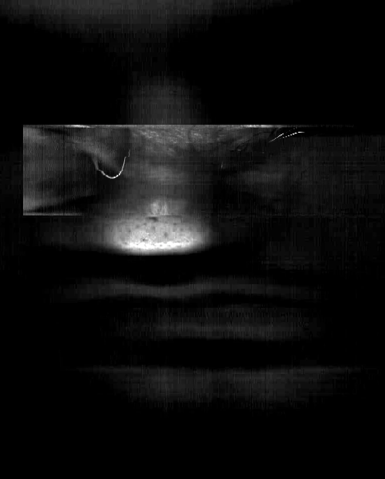 05.jpg