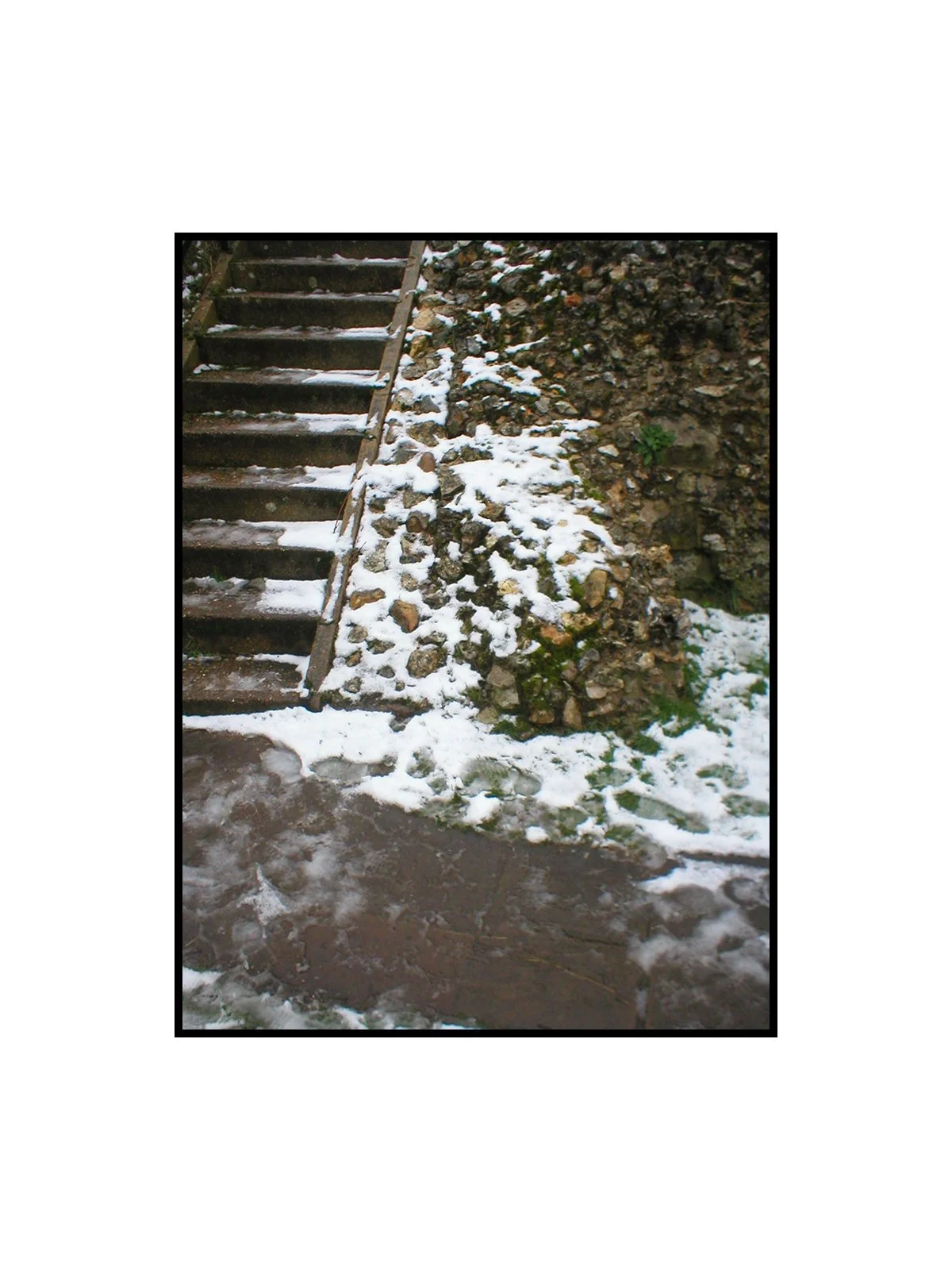 008.jpg