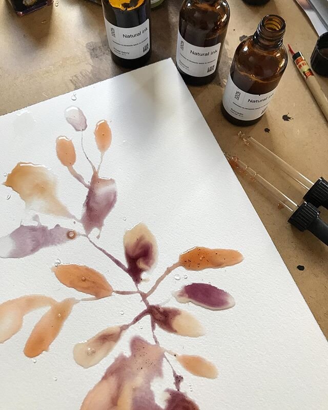 Last year I was very inspired, when I was reading about making your own watercolors out of materials found in nature. But I never found the time to immerse in this practice. So I was very excited when @leerbaekdk wrote me asking if I would test her n