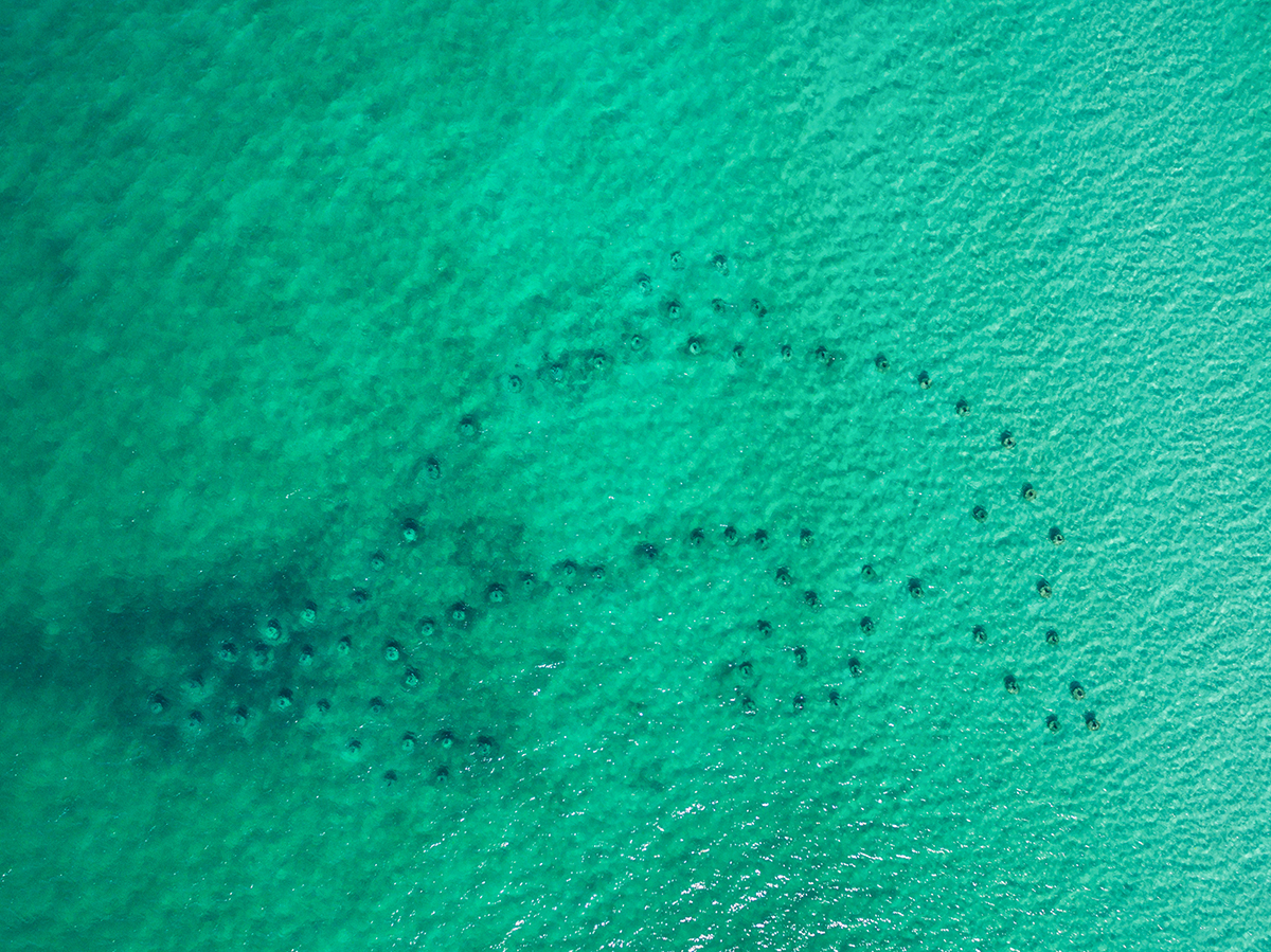 DJI_0023-1200px.jpg