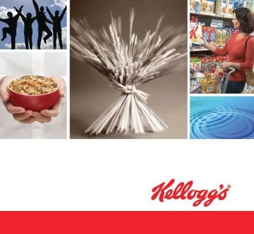 kellogg_cover_Page_01-1-3.jpg