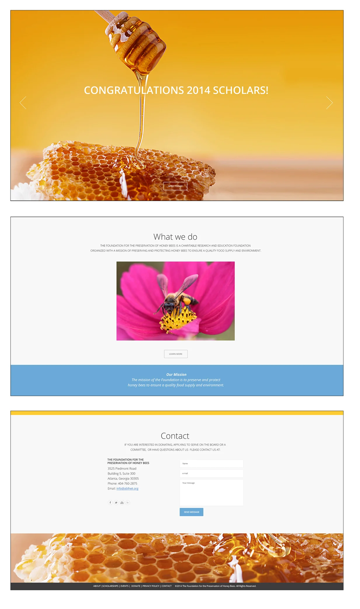 bee.jpg