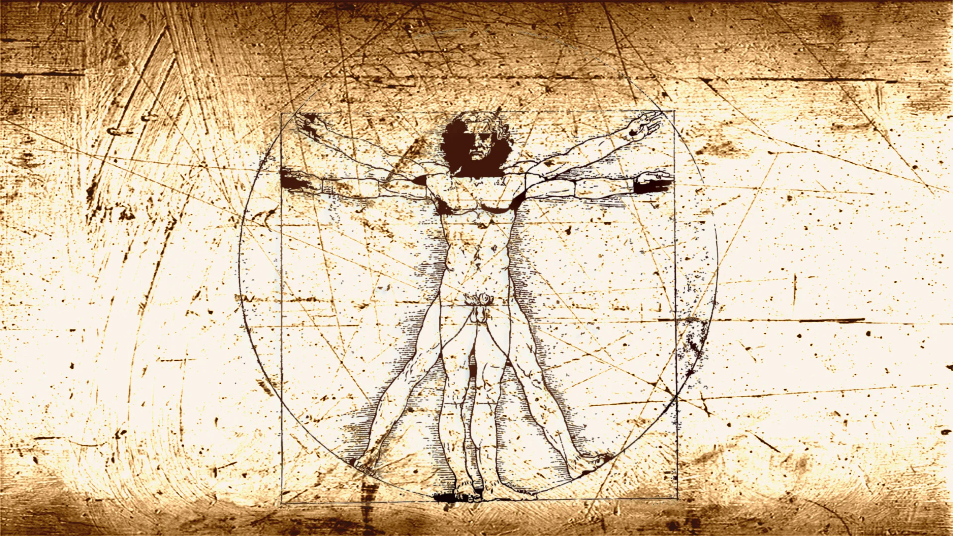 Vitruvian_man_by_ibuki_san (1).jpg