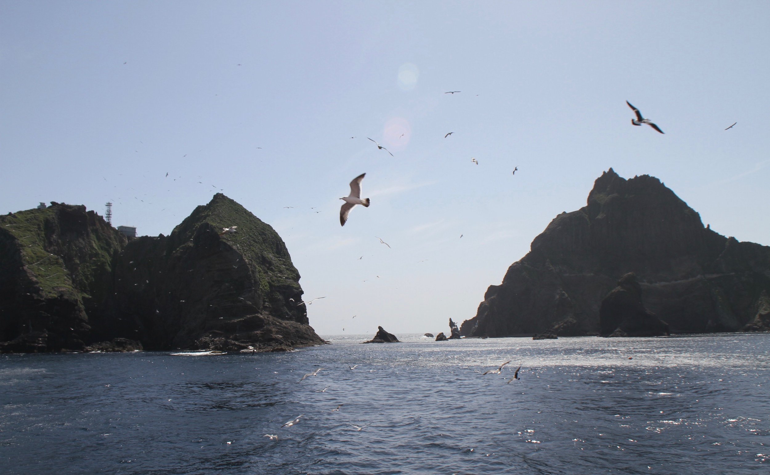 Dokdo with Birds.jpg