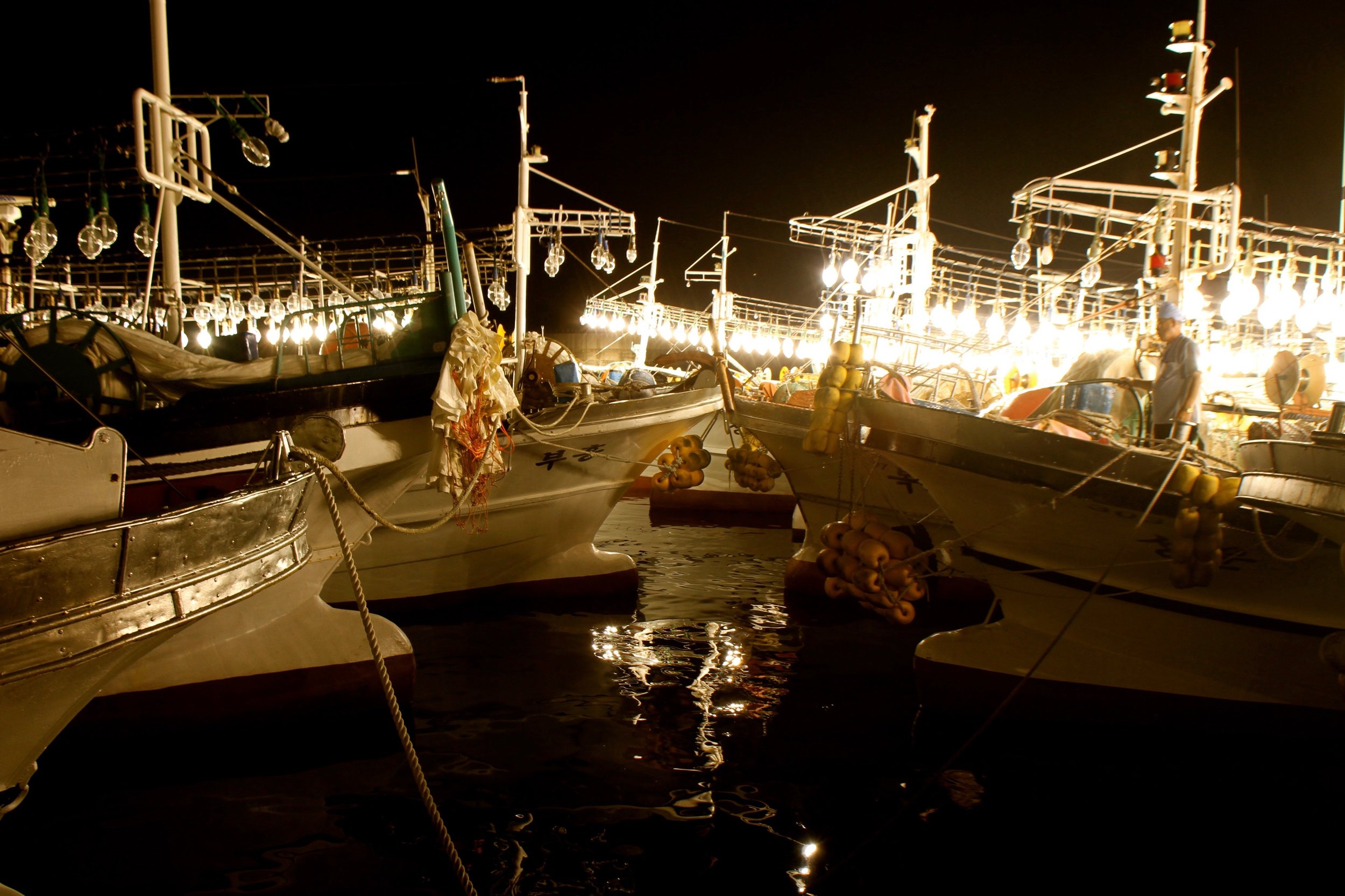 Squid Boats in Ulleungdo.jpg