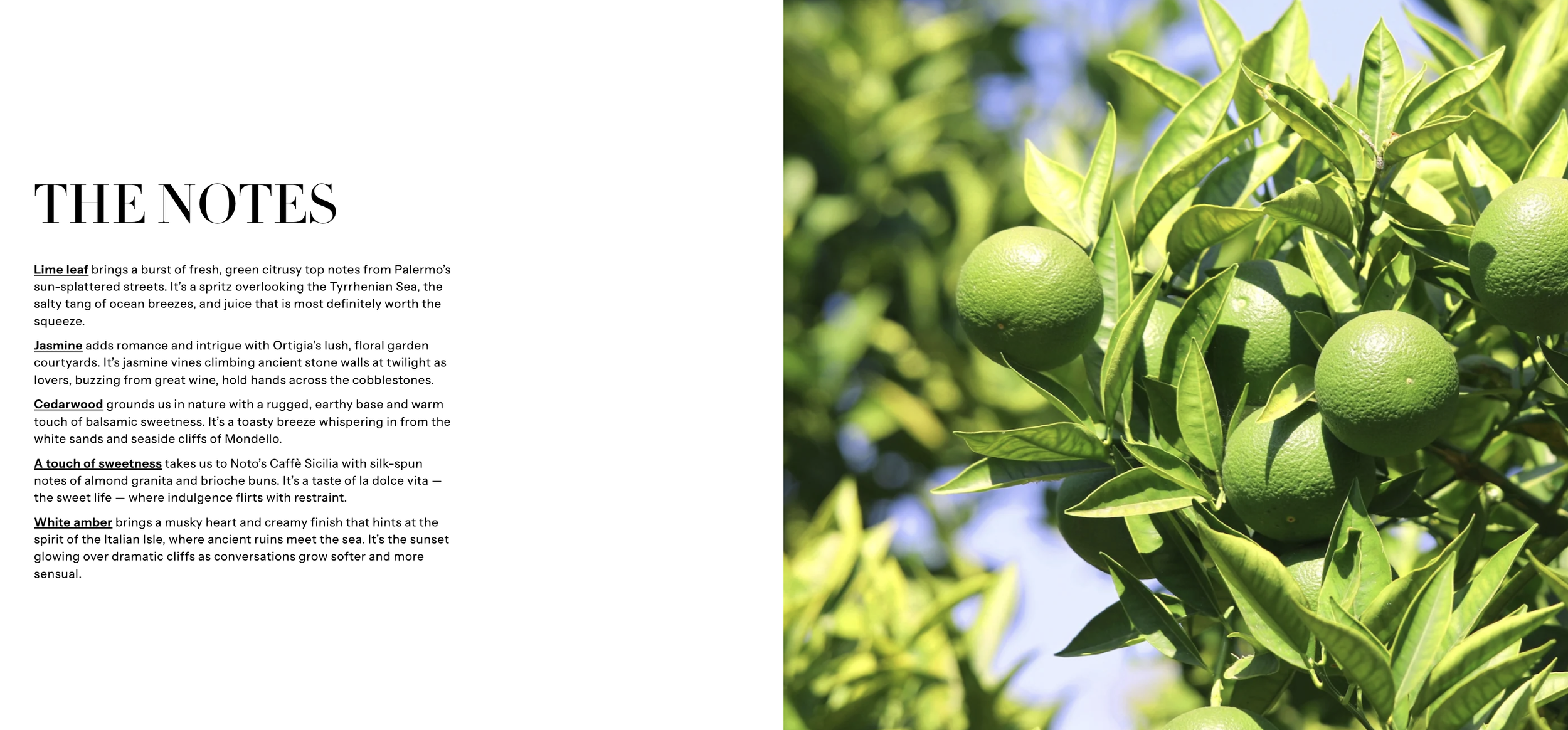 Screenshot 2025-12-20 at 3.59.04 PM.png