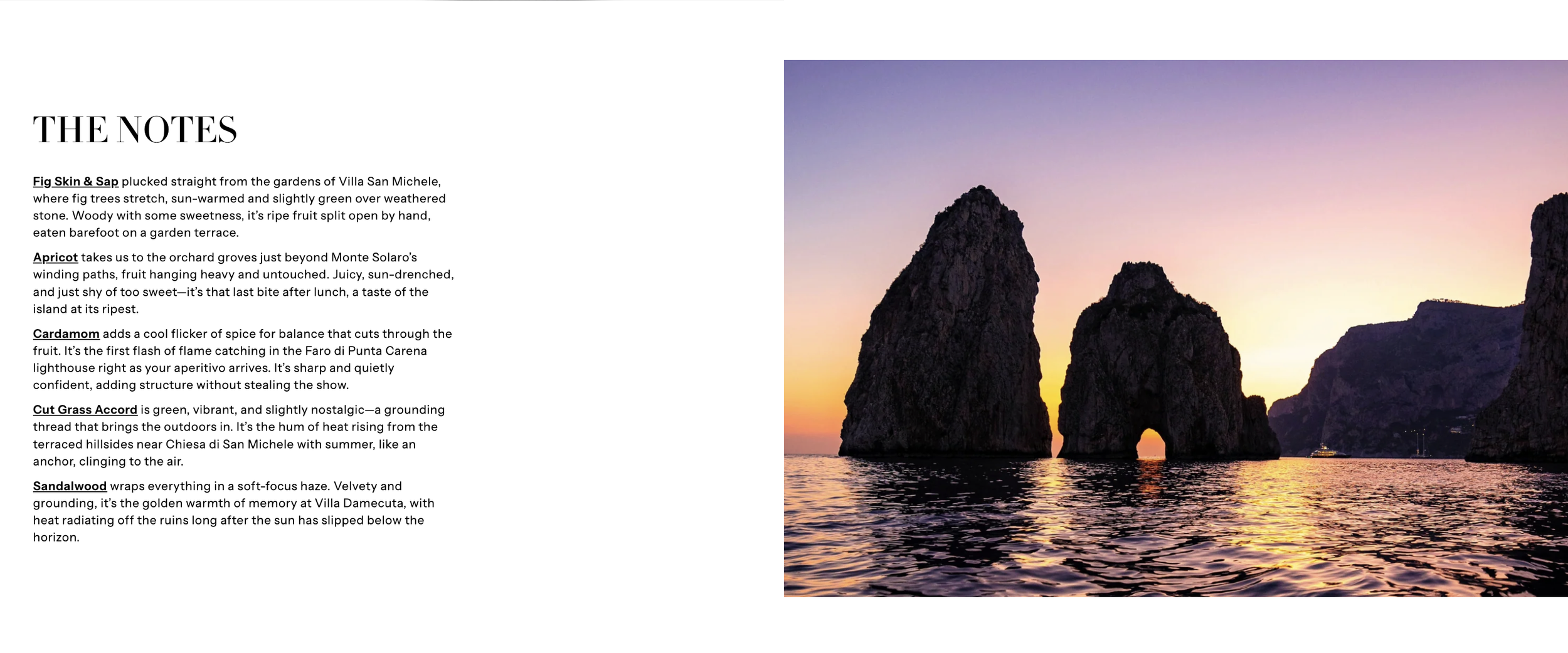 Screenshot 2025-12-20 at 4.01.00 PM.png