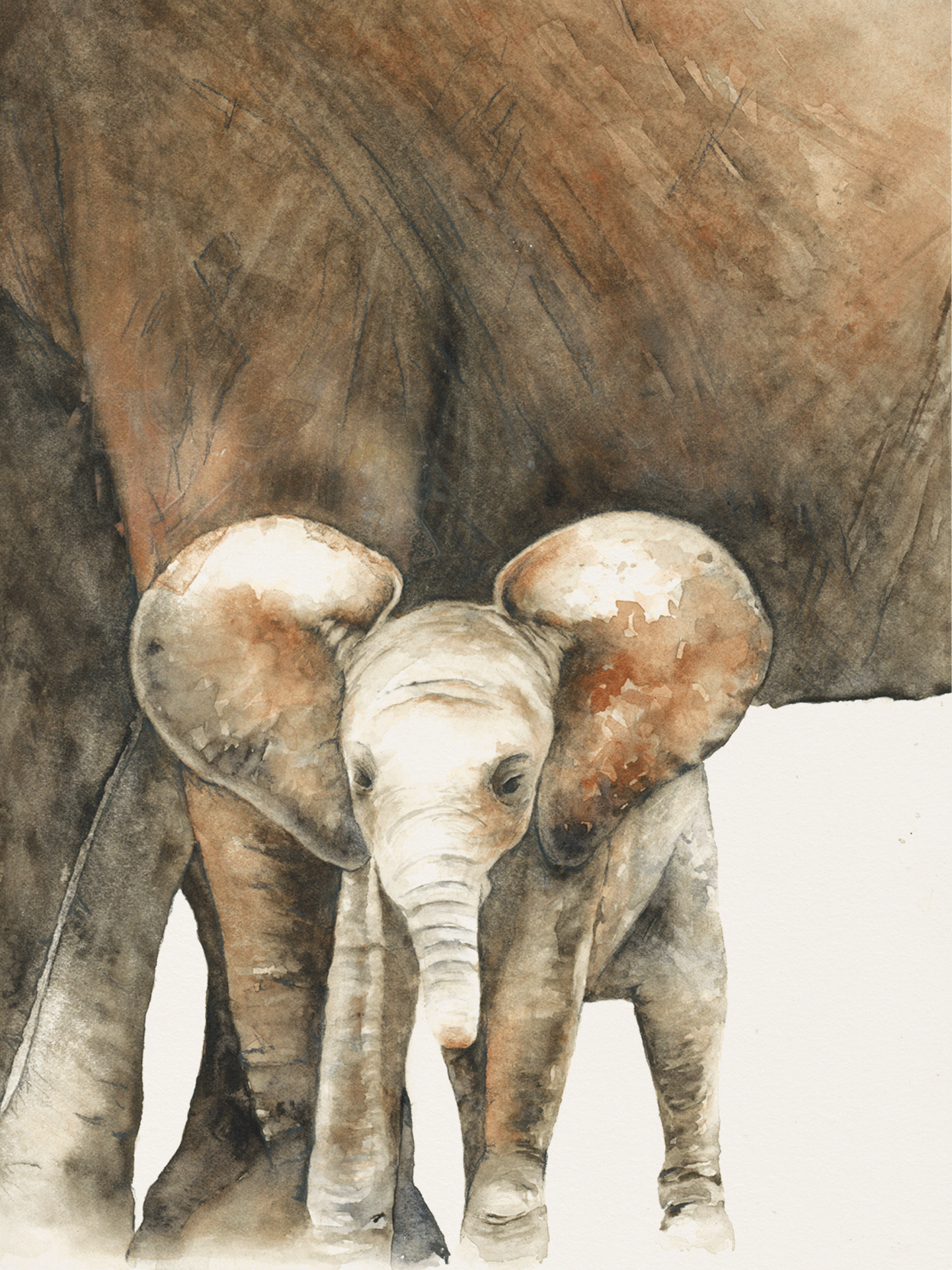 Elephants