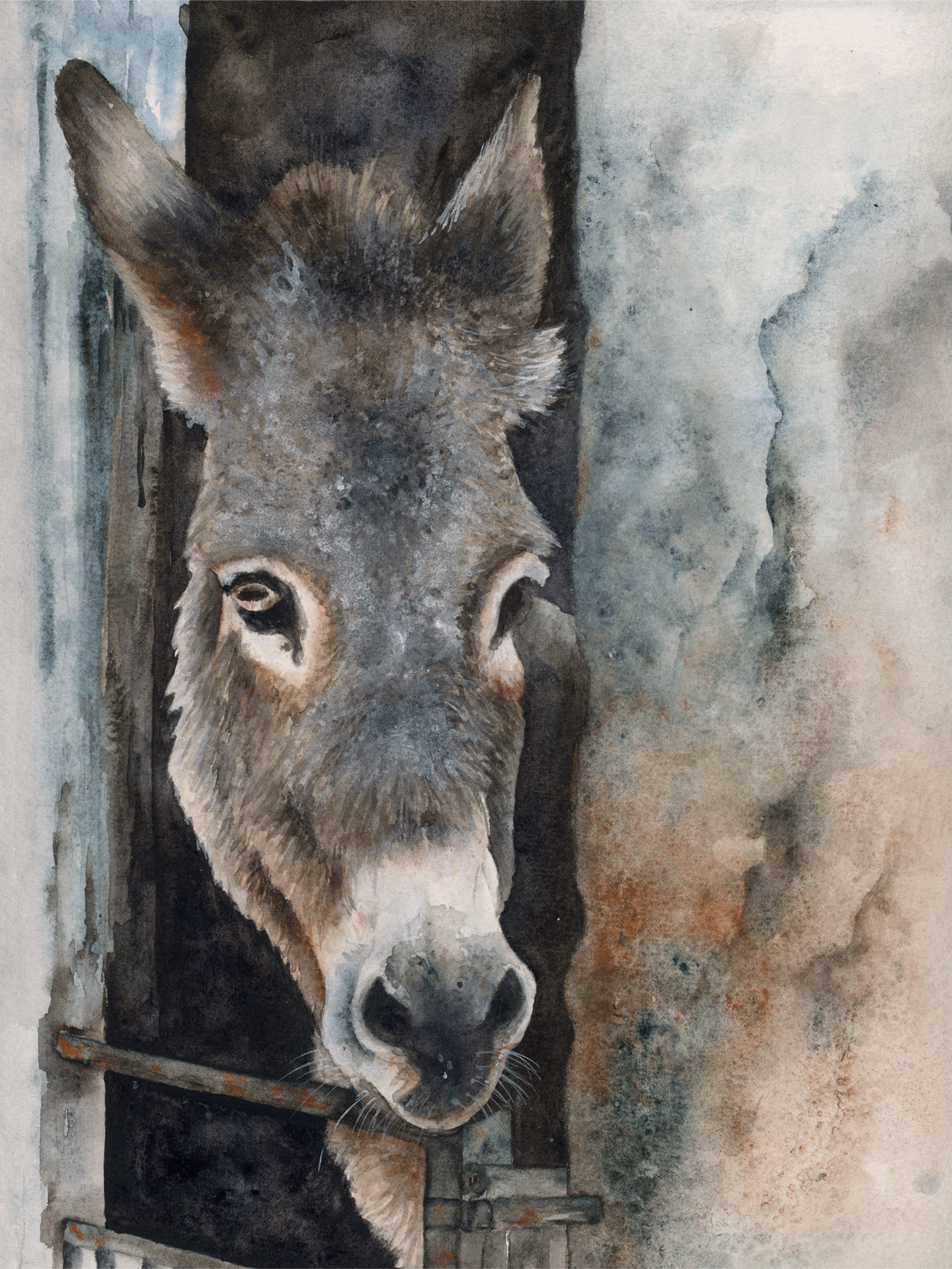 Donkey