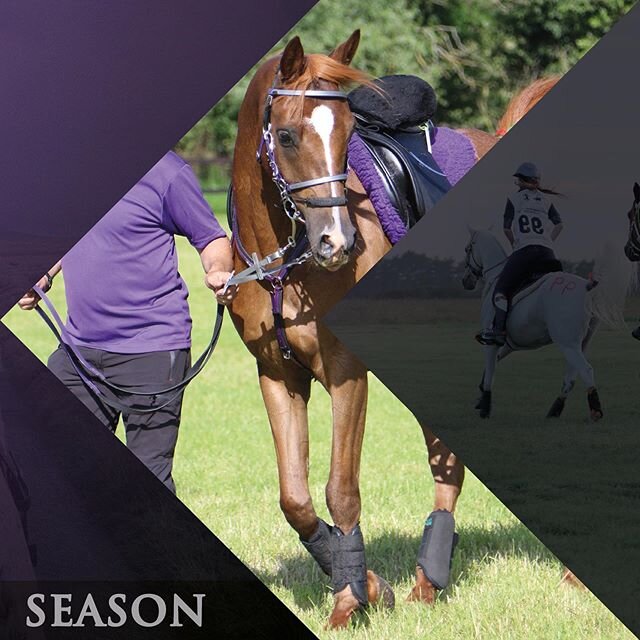 It&rsquo;s not long now... #enduranceseason #DE2020