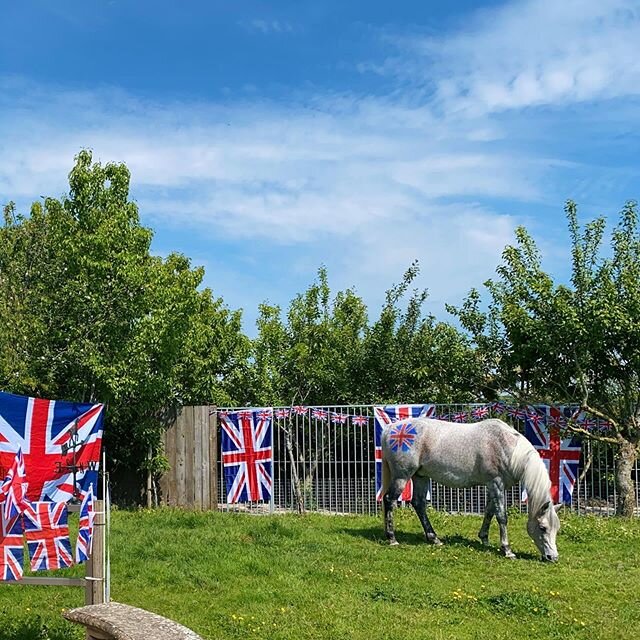 We had a great time celebrating #VEDay75 at home with the boys yesterday 🇬🇧☀️🐴 #VEDayAtHome #VEDay2020 #VEDay
